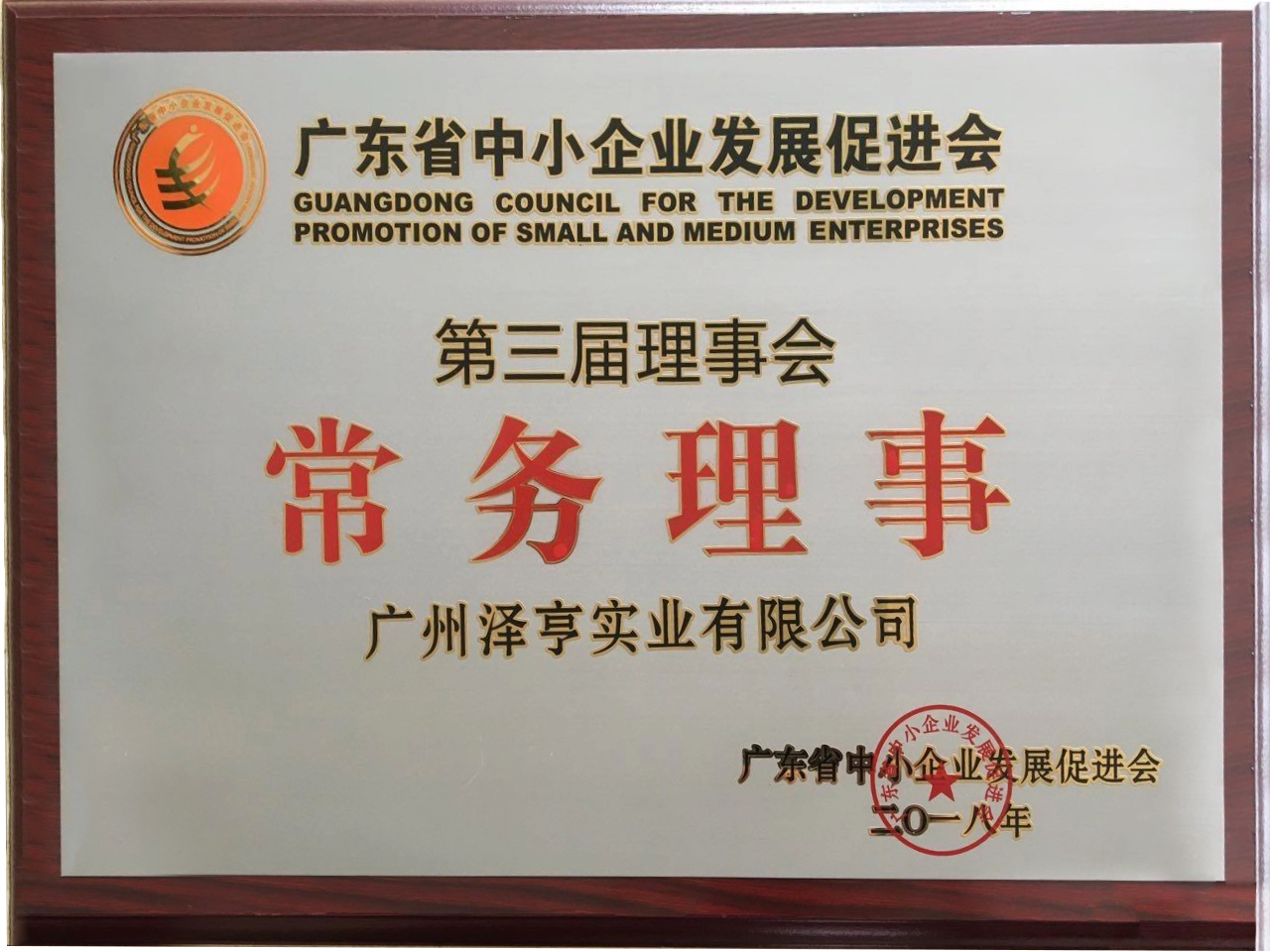 Executive Director of Guangdong Council for the Development Promotion of  Small and Medium Enterprises